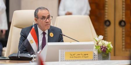 بدر عبدالعاطي يبحث مع نائب وزير الخارجية الروسي مشروع الضبعة والتطورات بقطاع غزة
