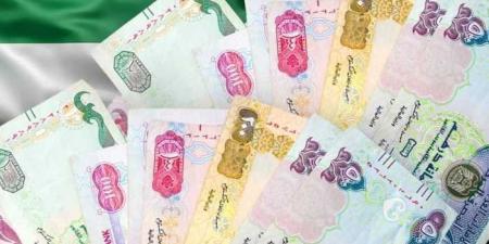 سعر الدرهم الإماراتي مقابل الجنيه اليوم الأحد 18 مايو 2025