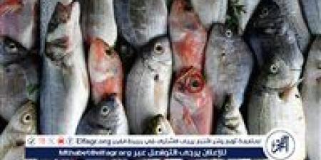 تعرف على أسعار الأسماك اليوم الأحد الموافق 18-5-2025 فى سوهاج