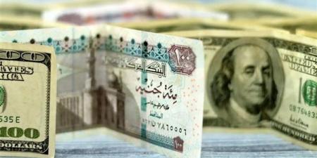 أسعار الدولار اليوم الأحد 18 مايو 2025
