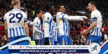 تشكيل برايتون المتوقع أمام ليفربول في الدوري الإنجليزي