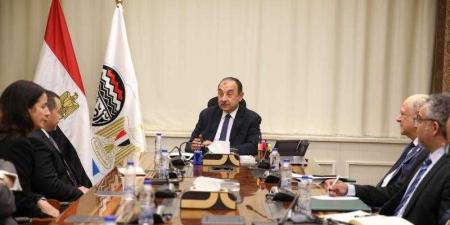 وزير قطاع الأعمال يلتقي وفدًا من ”بريتش بتروليوم” لمتابعة خطوات إعادة تشغيل مصنع الأنود بالعين السخنة