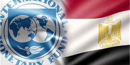نائب مدير صندوق النقد الدولي: الاقتصاد المصري أثبت قدرته على الصمود في مواجهة التحديات