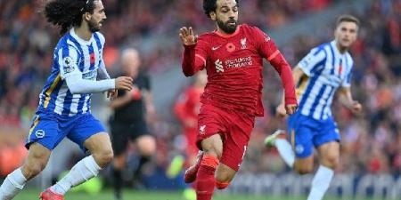 قمة كروية.. بث مباشر لمباراة ليفربول وبرايتون في الدوري الإنجليزي
