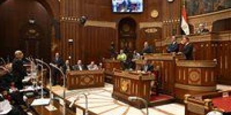 الوزير فوزي : التحكيم أداة مهمة من أدوات جذب الاستثمارات وتحتاج الى دعم مؤسسي وكل إزالة العقبات الاجرائية يقربنا من بيئة الاستثمار السليمة