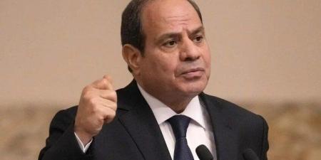 الرئيس المصري ونظيره اللبناني يؤكدان دعمهما الكامل للشعب السوري