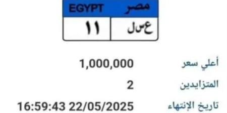 بمليون جنيه.. طرح لوحة سيارة مميزة رقمها "ع س ل 11" بالمزاد