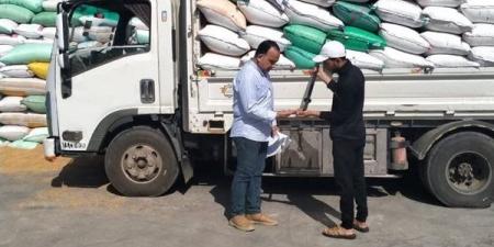 توريد 178 ألف طن من القمح المحلي في كفر الشيخ