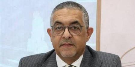 حسام هيبة: المستثمر الأجنبي يدرب العمالة المصرية على التكنولوجيا الحديثة