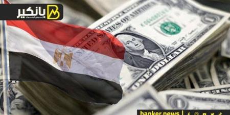 الاستثمارات الأجنبية تتدفق من كل مكان.. انفراجة مهمة لأزمة الدولار