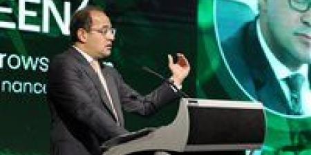 وزير المالية: زيادة حجم التمويل الاستثماري بالموازنة الجديدة للمشروعات الخضراء