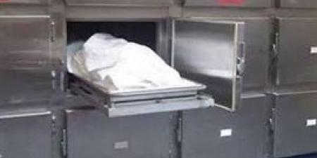 سوهاج.. مصرع طفل أثر حادث سير بدائرة المركز