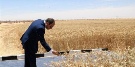 السيسي: منطقة الدلتا الجديدة ستستوعب مليوني أسرة في تخطيط عمراني متكامل
