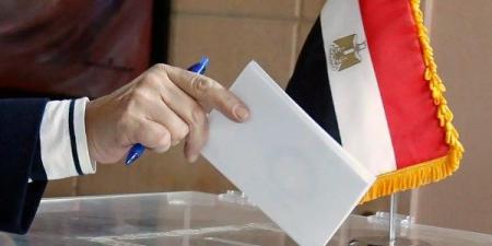 الدوائر الانتخابية.. نائب رئيس مستقبل وطن: لا تدخل حكومي أو حزبي في توزيع المقاعد