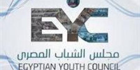 في يوم إفريقيا.. الشباب المصري: مصر داعم رئيسي والشباب ركيزة تحقيق أجندة 2063