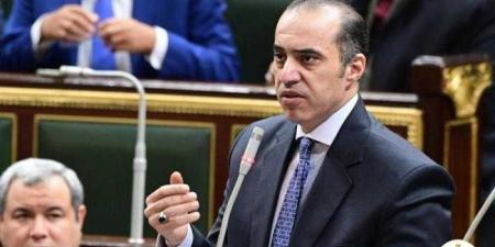 المستشار محمود فوزي: الحوار الوطني لم يتوافق على النظام الانتخابي وبالتالي لم ينته إلى توصية محددة بشأنه