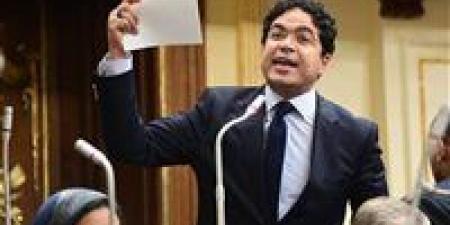 ضياء الدين داود يرفض مشروعات قوانين انتخابات مجلسي النواب والشيوخ