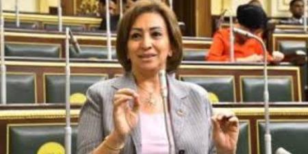 مها عبد الناصر: نحتاج تعديلات جوهرية على قانون انتخابات مجلسي النواب والشيوخ