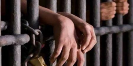 بينهم سيدتان.. ضبط 3 متهمين بالاتجار في المخدرات بالقليوبية