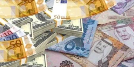 أسعار العملات العربية والأجنبية في مصر اليوم.. الأحد 25-5-2025