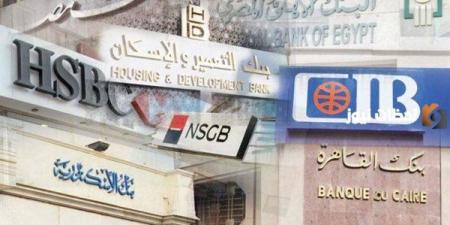 بعد خفض الفائدة 1%.. أعلى شهادة ادخار بعائد يومي في مصر الآن