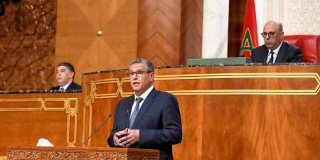 أخنوش يعلن توسع "أمو-تضامن"