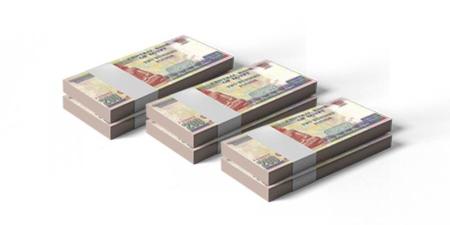 البنك المركزي: ارتفاع المركز المالي بأكبر 5 بنوك لـ 15.976 تريليون جنيه بنهاية مارس 2025