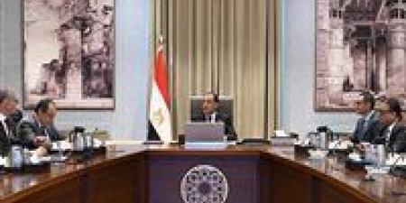 رئيس الوزراء يتابع تنفيذ برنامج الطروحات الحكومية في قطاعي البترول والأعمال العام