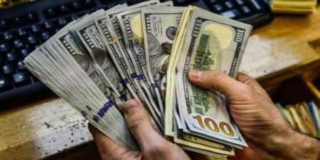 تحويلات الخارج تتحدى الأزمات.. واحتياطي النقد الأجنبي يسجل رقمًا قياسيًا