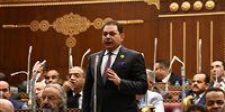 النائب فرج فتحي فرج: إسرائيل تُشعل الجبهات لتفجير المنطقة.. ومصر سباقة في الدفاع عن استقرار الإقليم