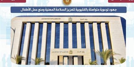 ختام فعاليات دورة التسويق الإلكتروني ضمن مبادرة التدريب من أجل التشغيل بالإسماعيلية
