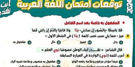 الثانوية العامة 2025.. أبرز الأسئلة المتوقعة في ليلة امتحان اللغة العربية