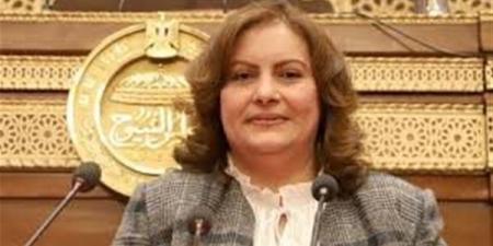 أمين سر العلاقات الخارجية بالشيوخ: مصر تتحرك بديناميكية لنزع فتيل التوتر الإقليمي