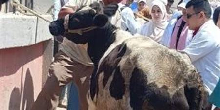 "الخدمات البيطرية" تطلق قوافل علاجية مجانية لدعم صغار المربين في 5 محافظات