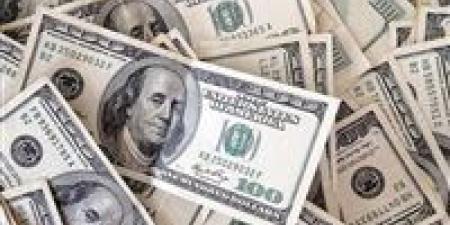 عاجل| استقرار سعر صرف الدولار.. هل هدأت موجة خروج الأموال الساخنة؟