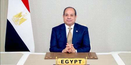 الرئيس السيسي يشارك في الاحتفال بالذكرى الـ80 للأمم المتحدة عبر تقنية الفيديو كونفرانس
