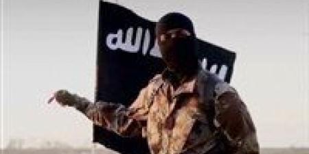 تأجيل محاكمة 9 متهمين بـ "ولاية الدلتا الإرهابية" لمرافعة الدفاع