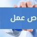 4424 وظيفة بالقطاع الخاص في 13 محافظة.. ووزير العمل يشدد على تطبيق الحد الأدنى