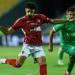 تعرف على غيابات الأهلي أمام سيراميكا كليوباترا في الدوري غدًا