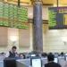 البورصة المصرية تربح 6.3 مليار جنيه في ختام تعاملات الاثنين