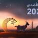 استعدادات مكثفة لعيد الأضحى.. التموين تؤمن السلع وتطمئن المواطنين| تعرف على التفاصيل