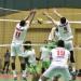استعدادًا لنهائيات كأس العالم.. منتخب مصر للطائرة يستدعى 7 لاعبين من الزمالك
