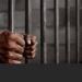 حبس المتهمة بقتل جدتها في الشرقية على ذمة التحقيقات