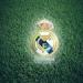 ريال مدريد يواصل تحركاته في سوق الانتقالات.. ويحدد خطة ما بعد مودريتش