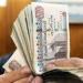 700 جنيه..تعرف على قيمة الحافز الإضافي للعاملين بالدولة وفقاً للقانون الجديد