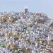 رئيس بعثة الحج: اكتمال الاستعدادات لتصعيد ضيوف الرحمن إلى عرفات