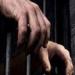 الإعدام شنقا لأشقاء أربعة لاتهامهم بقتل شخص بالقليوبية