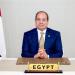 الرئيس السيسي يشارك في الاحتفال بالذكرى الـ80 للأمم المتحدة عبر تقنية الفيديو كونفرانس