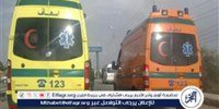 دماء على الأسفلت.. أتوبيس يدهس أبًا ونجله بطريق صلاح سالم