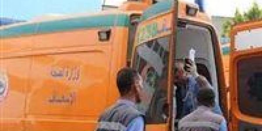 إصابة 9 أشخاص في اصطدام ميكروباص برصيف على طريق الفيوم الصحراوي